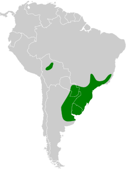 Distribución geográfica del cachilo canela.