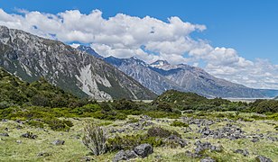 Landscape in Mount Cook National Park 30.jpg