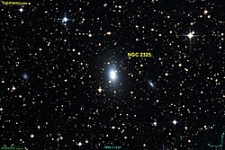 NGC 2325