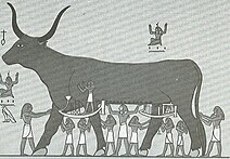 Богиня Нут в образе коровы. Изображение из книги Уоллиса Баджа «Боги Египта», том 1, ок. 1904 г.