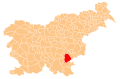 Novo mesto municipality