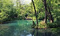 In het natuurgebied Rhumeaue/ Ellerniederung/ Gillersheimer Bachtal