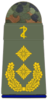 General-stabsarzt (dental medicine)