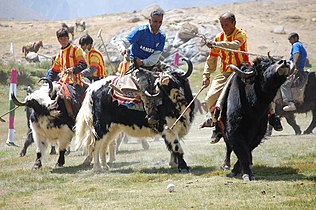 Provincial sport of Gilgit–Baltistan