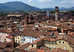Vy över Lucca, från tornet Guinigi