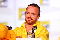 Image illustrative de l’article Jesse Pinkman