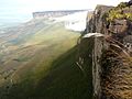 Tebing Gunung Roraima