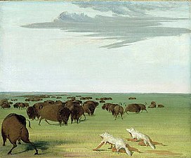 Caccia al bisonte da parte di nativi americani travestiti da lupi bianchi, 1832–33