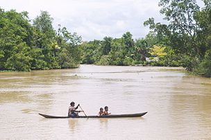 Tropical rainforest climate (Af) in Orinoco Delta