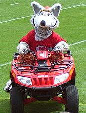 K.C. Wolf, the mascot of the Kansas City Chiefs