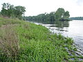 The mouth of the Murg near Steinmauern