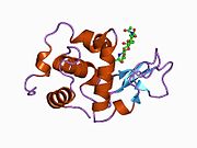 1d6p: HUMAN LYSOZYME L63 MUTANT LABELLED WITH 2',3'-EPOXYPROPYL N,N'-DIACETYLCHITOBIOSE