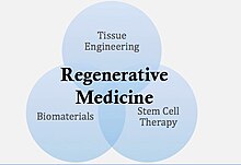 Регенеративна медицина: основні напрямки