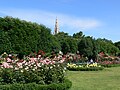 Volksgarten Wien, Austria