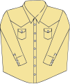 A typical western shirt has mother of pearl snap fasteners, two breast pockets, and a v-shaped motif.