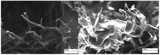 Cellulose foam.webp