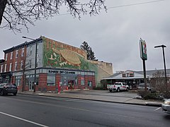 Dry cleaner and 7-Eleven in Roxborough, Philadelphia, PA.jpg