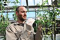 Instituto Nacional de Tecnología Agropecuaria}} travaillant au séquençage du génome de la tomate.