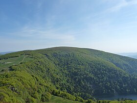 Vue du Kastelberg en été depuis le Rainkopf