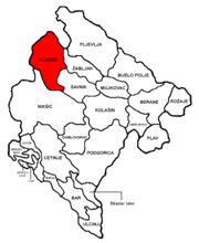 Plužine municipality