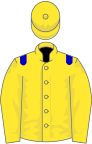 Yellow, blue epaulets