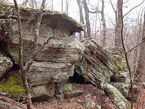Outcrop of the Roubidoux Formation in the Ozarks of southern Missouri