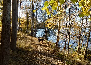 Skärholmens strandpromenad går längs Mälaren