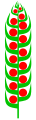 Vorschaubild der Version vom 12:33, 24. Dez. 2007