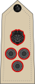 Brigadier (Malawi Army)