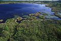 Okefenokee Swamp