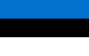 Bandeira Estónia nian