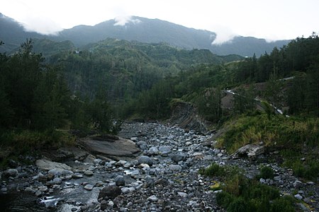 La Rivière des Fleurs Jaunes avec en arrière-plan le Piton Plaine des Fougères