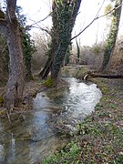 Le Bruant dans un bois en amont de Saint-Porchaire.