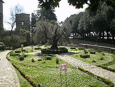 גן בוטני מימי הביניים