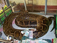 Snake Monastery (Bago, Myanmar) (28896661511).jpg