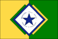 Bandeira de Brasileira