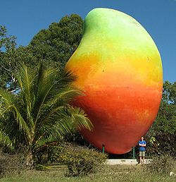 The Big Mango, Bowen
