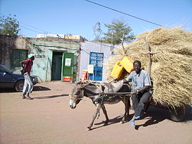 Dori (Burkina Faso)