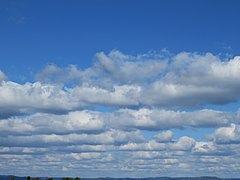 放射状積雲(cloud streets)