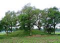 Eppiesbergje bij Odoorn