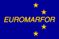 Vlag van die Europese Vlootmag