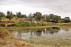 Fuente La Carrozal en Pino del Oro.jpg