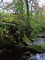 Peden's Pulpit at Pinnoch or Pinnioch (meaning Many Points) Point on the Caaf Water