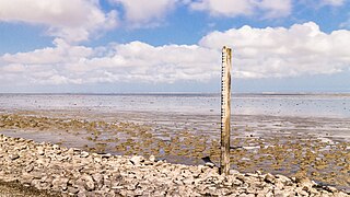 Wierum, Tidal area gauge scale. (Wadden Sea)