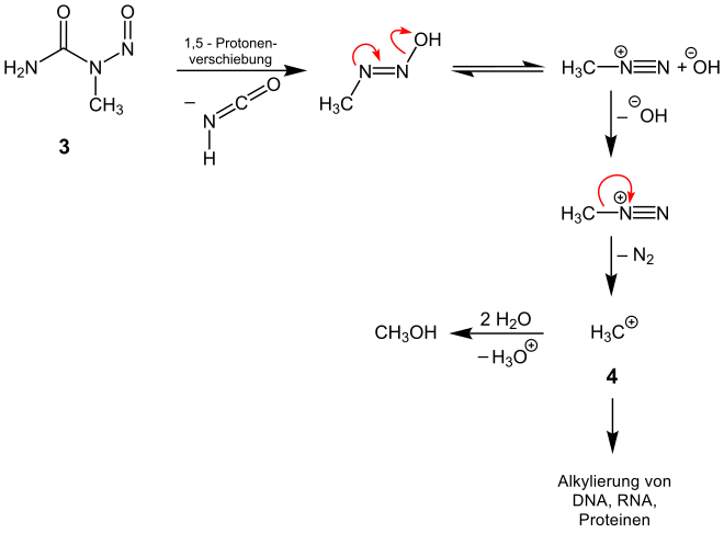 Zerfall eines N-Nitrosoharnstoffs zu einem alkylierenden Intermediat