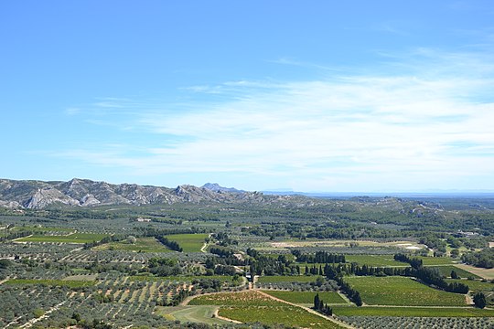 Weinanbau, Olivenbäume und Gemüsegärten (photo), Alpilles, Rochers d'Entreconque, a view from Les Baux-de-Provence ...