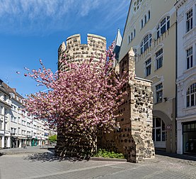 Sterntor em Bonn, Renânia do Norte-Vestfália, Alemanha (definição 4 916 × 4 472)