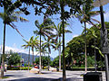 Cairns – la ciudad tropical (vista próxima a la laguna).