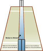 A perspective view of the cricket pitch from the گیند بازی end.