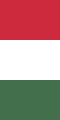 ธงชาติฮังการีสัดส่วนธง 2:1
